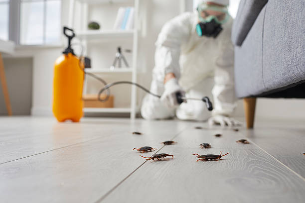 Commercial Kitchen Cockroach Control in Malvern